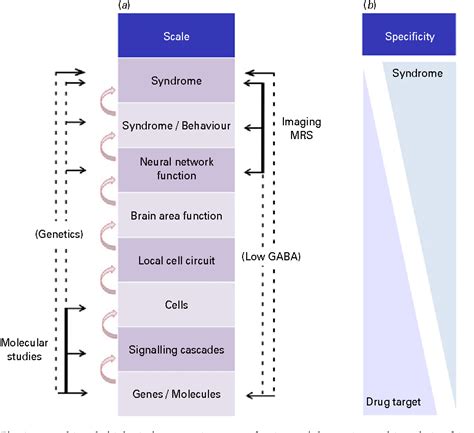 Biological substrates underpinning diagnosis of major …