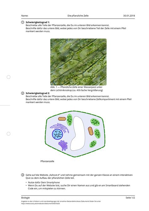 Biologie ecke anatomie zellen leitfaden antworten. - Nocti study guide answers for early childhood.