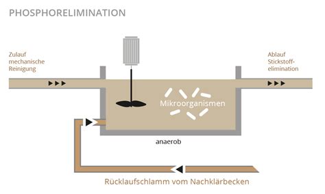 Biologische stickstoff  und phosphorelimination in abwasserreinigungsanlagen. - Service manual 2009 kia carnival diesel.