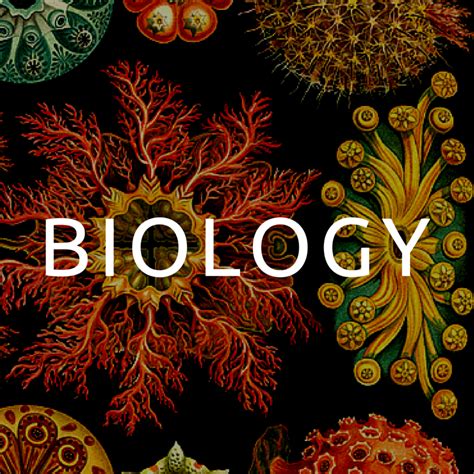 Biology. Things To Know About Biology. 