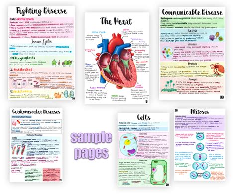 Biology - Revision Science