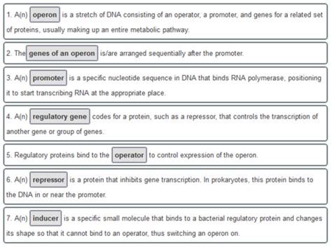 Biology 196 Ex. 4 My Lab and Mastering Flashcards Quizlet