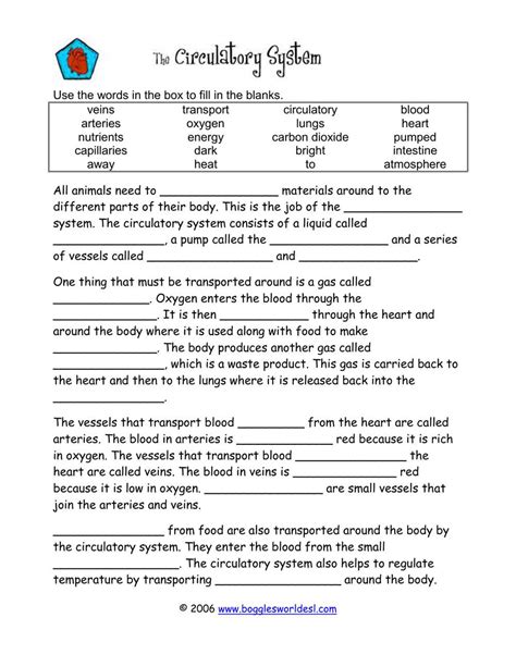 Biology 37 The Circulatory System Answer Key