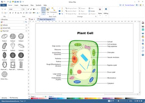 Biology Biology Drawing Software Biology Drawing …