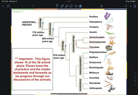 Biology Ch. 27 Flashcards Quizlet