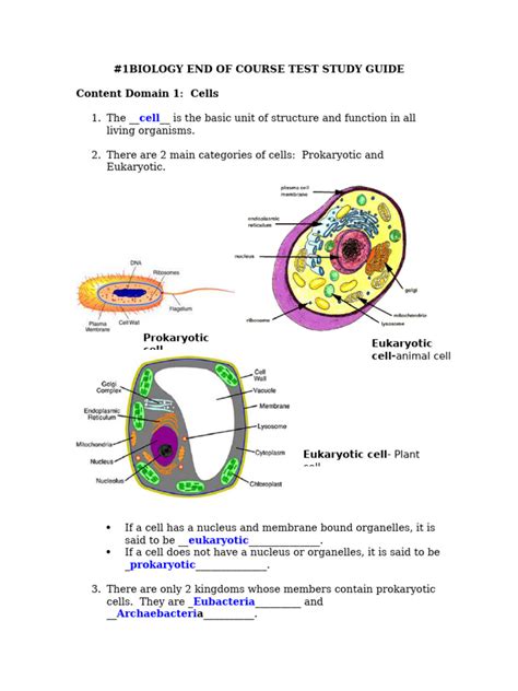 Biology Eoct Study Guide Answers