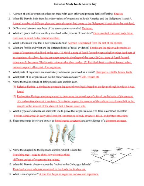 Biology Evolution Study Answer Key