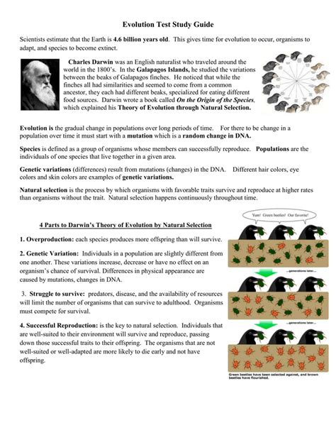 Biology Evolution Test Study Guide Answers