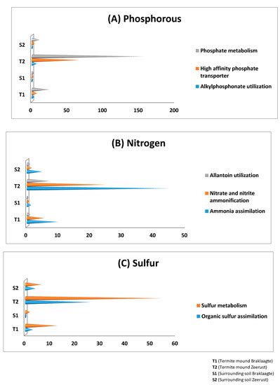 Biology Free Full-Text Termite Societies Promote the ... - MDPI