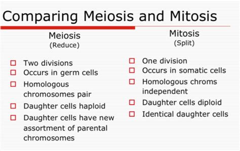 Biology Honors Midterm Exam Flashcards Quizlet