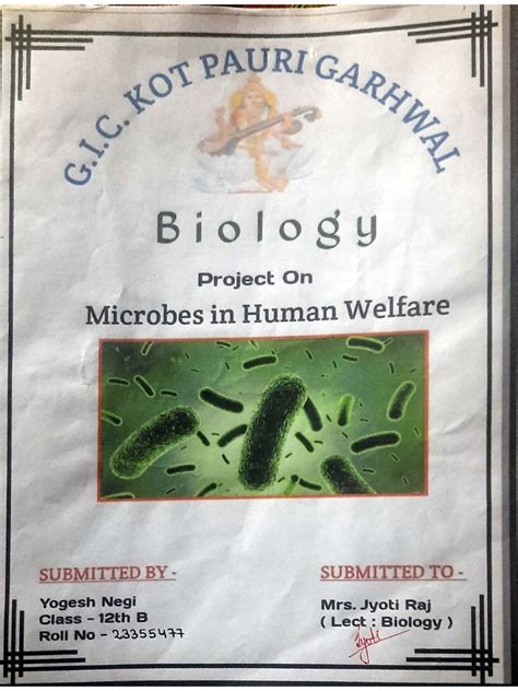 Biology Project On Microbes In Human Welfare