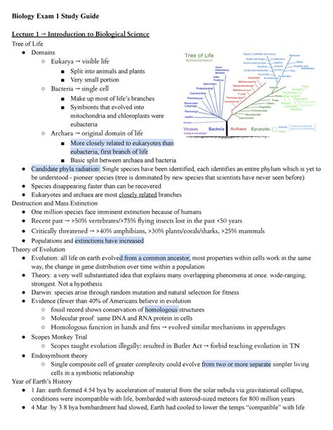 Biology Study Example Guide Exam