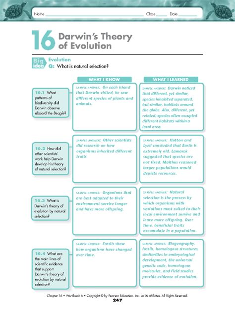 Biology Test 16 Practice Chap Evolution Answers