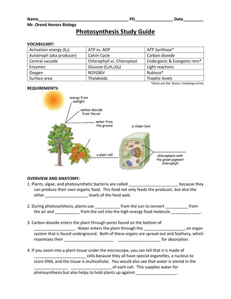 Biology campbell photosynthesis study guide answers. - Cgfm examination 2 governmental accounting financial reporting and budgeting secrets study guide cgfm exam.