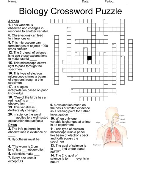 Biology chapter 10 crossword puzzle answers. .  ...