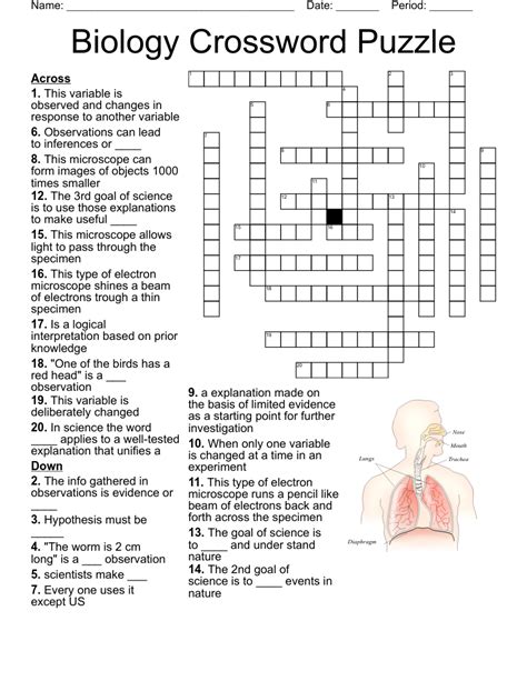 Biology crossword puzzle answers final review guide. - Black sheep guides travel for food madrid.