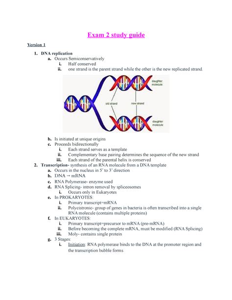 Biology dna replication exam study guide. - Pdf kia rio 2004 service manual.