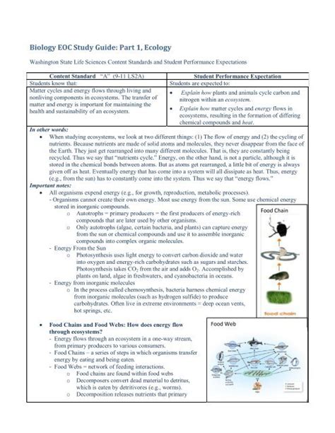 Biology eoc study guide scavenger hunt. - Horngren 14th edition solution manual cost accounting.
