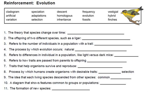 Biology evolution review worksheet answers.  These shared features in young embryos sug...