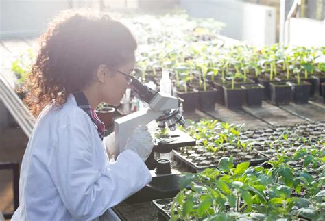 289 Biology Field Research jobs available in Michiga