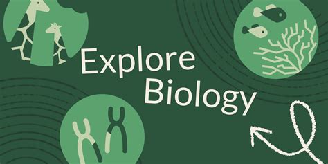 Biology khan academy.  We&rsquo;ll discover the intricate worlds of prokaryotic and eukaryotic ...