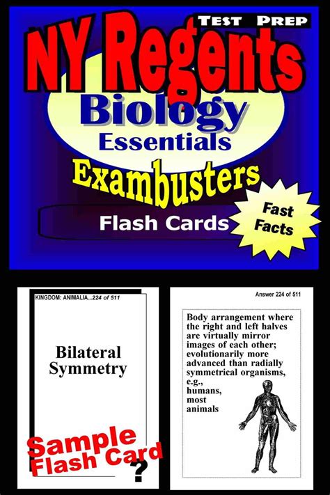Biology regents study guide 9th grade. - Clarinet saxophone and flute repair manual step by step easy.
