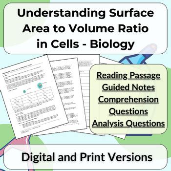 Biology terminology pdf. Cell Surface Area versus Volume Vocabulary 12 Cell Transport Voc...