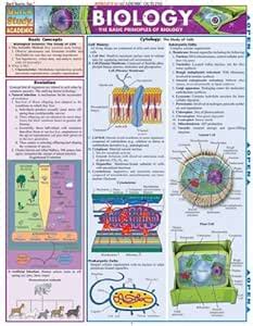 Read Online Biology By Barcharts