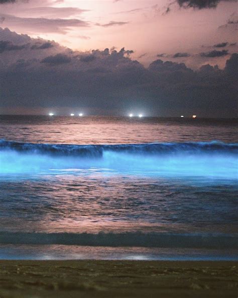 Bioluminescence makes Padukere Beach turn radiant blue