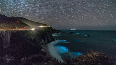 Bioluminescent Plankton Light Up California