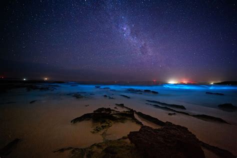 Bioluminescent algae lighting up the Southern California coast