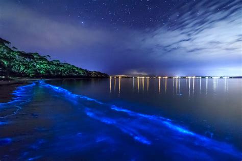 Bioluminescent bay puerto rico tours. In fact, the Guinness Book of World Records recognized Vieques’ Mosquito Bay (also known as Puerto Mosquito), on the island’s southern shore, as the “brightest bioluminescent bay” in the ... 