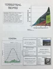 Biome Book Answer Key