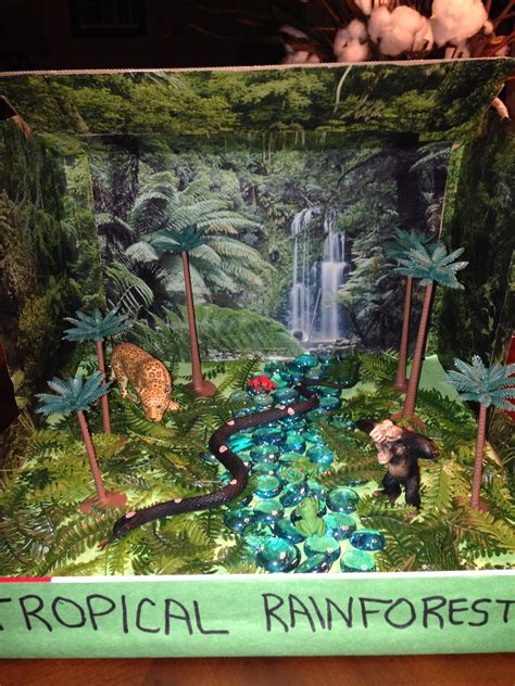 Mar 19, 2017 - Explore Alaina Hicks's board "Dioramas" on Pinterest. See more ideas about habitats projects, ecosystems projects, school projects.. 