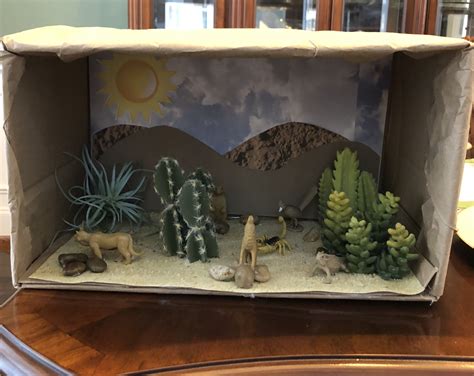Biome in a box desert. To compliment the biome/animals projects, they will be completing a small, at-home project as well. At home, students will be creating a shoebox diorama of the ... 