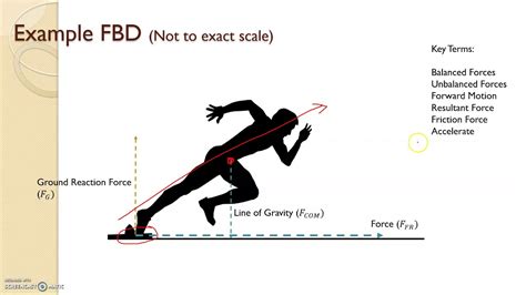 Biomechanics Impact Analysis, Inc