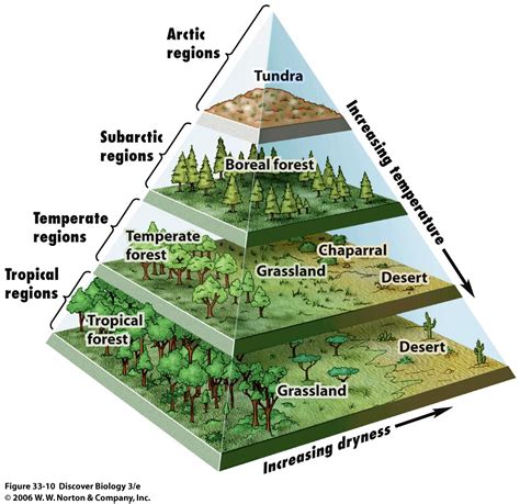 Figure 1. Each of the world’s eight major biomes is distinguished by characteristic temperatures and amount of precipitation. Polar ice caps and mountains are also shown. There are eight major terrestrial biomes: tropical rainforests, savannas, subtropical deserts, chaparral, temperate grasslands, temperate forests, boreal forests, and Arctic ... . 