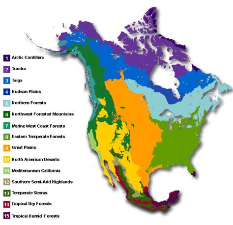 The Earth's biomes are categorized into two major groups: terrestrial and aquatic. Terrestrial biomes are based on land, while aquatic biomes include both ocean and freshwater biomes. ... Temperate forests are the most common biome in eastern North America, Western Europe, Eastern Asia, Chile, and New Zealand (Figure 7). This biome is found .... 