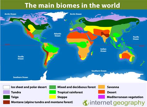 Biomes of the world map. .  Supported structures include villages, strongh...