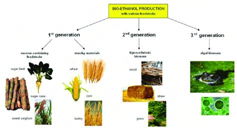 Biomethanation I 1st Edition