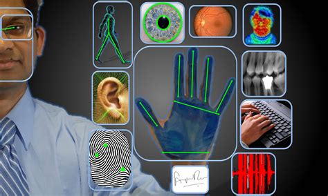 Biometric Features Used for Forensic Identification of …