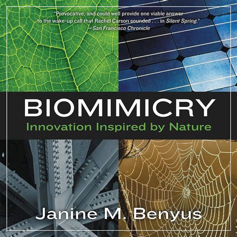 Biomimicry Innovation Inspired by Nature