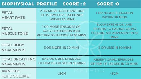 Biophysical Profile: Understanding Your BPP Test and …