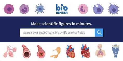 Biorender - Easy drag-and-drop - no drawing skills required! High-quality figures for journals, presentations, posters, and more. Export to JPG, PNG, and PDF right to your desktop. GET STARTED. Get editable icons and illustrations of Lab and Objects. Create professional science figures in minutes with BioRender scientific illustration software.