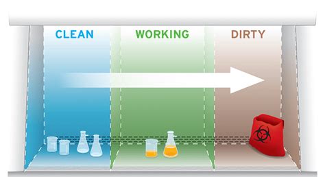 Biosafety Cabinet Work Zone Setup for Biomed/Micro