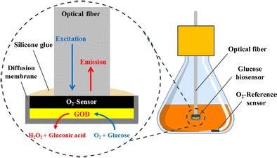 Biosensors’ Utility in Mammalian Cell Culturing SpringerLink