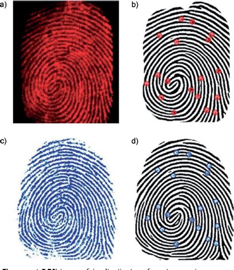 Biosensors For Fingerprint Analysis 