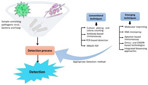 Biosensors Free FullText Current Scenario of Pathogen Detection