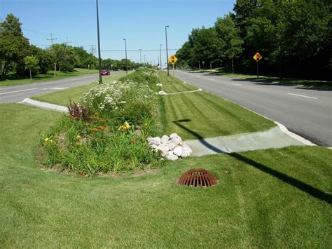 Bioswale Definition & Meaning - Merriam-Webster