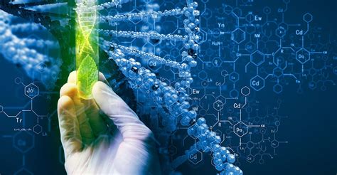 Forensic DNA. A further area of research in biotechnology research is the study of the genetic diversity of humans for its applications in criminal justice. Some of the topics that could be studied include, Y-chromosome Forensic Kit, Development of commercial prototype. Genetic testing of Indels in African populations.. 